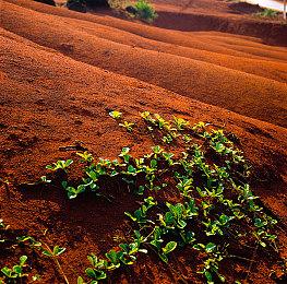 《最终幻想9》最受欢迎的MOD四年后再获大更新